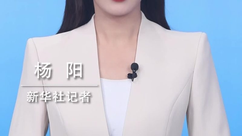 数据中台建设：揭秘企业数字化转型背后的关键**